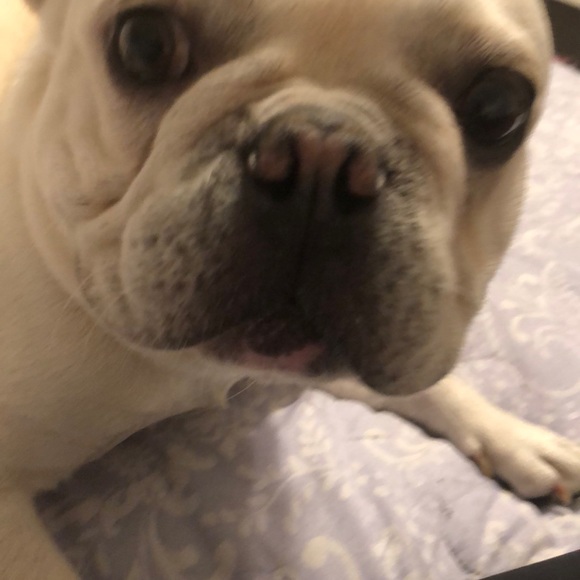 Meet your Posher, Michele - Picture 1 of 1